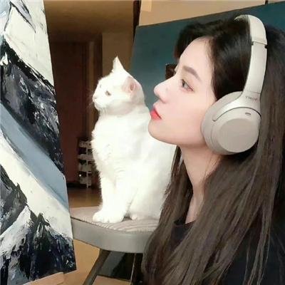设局